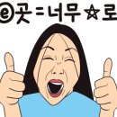 고메303