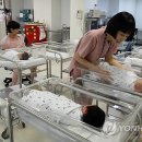 배박사 동물병원 이미지