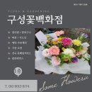 구성꽃백화점 네이버블로그
