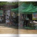 신하초등학교