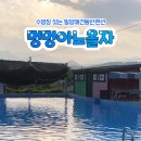 애견동반 멍멍아노올자 이미지