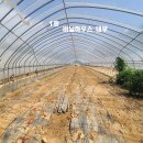 광천농장 이미지