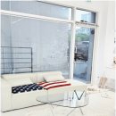 비비퍼피 강아지분양 일산점 이미지