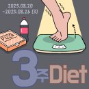 (주)세로 | 3주 다이어트 식단과 운동 기록(마지막주 후기)