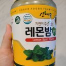 (주)자연농푸드 | [다이어트 식품 추천] 자연농푸드 레몬밤 분말 내돈내산 후기 (2주간 체지방 -1.4kg)