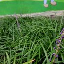 상동어린이공원 이미지