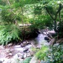 고북벨리 이미지