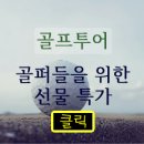 골프몬딱