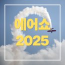 성웅기술 | 에어쇼 2025 일정 완벽 가이드 - 서울 성남부터 파리까지 총정리