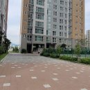 반도보라마트 이미지