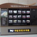 영남디앤지 이미지