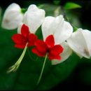 여름이야 이미지