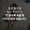 놀이터다이어트클럽