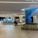 쏠비치 삼척 사우나 | 쏠비치 삼척 오션 플레이 이용후기 팁 준비물 삼척 워터파크 휴장일