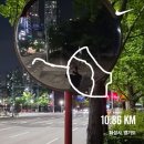 챔피언펜션 | [26] 5, 6월의 일상(2)