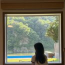 내돈내산) 홍천 조용하고 가성비 좋은 리버뷰 수영장 펜션 - 노블레스노마드