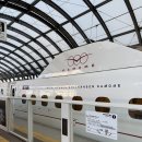 다이소 앞 횡단보도 | 나가사키, 후쿠오카 가족여행 | 2일차 하카타역 쇼핑 및 팬케이크 맛집 방문 후기