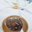 (주)아이스올리 네이버블로그