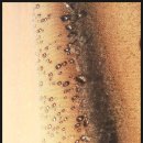 라라솔캠핑장 이미지