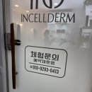 인셀덤플러스 사랑점