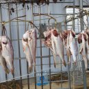 산수골농장2 이미지