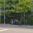 장미아파트 버스정류장(602동 앞) | 북한산 종로코스 역방향 걷기(형제봉입구-연화정사-전심사-탕춘대성암문-장미공윈-북한산생태공원-불광역)