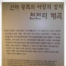 울산 각석(刻石),반구대 암각화(盤龜臺 岩刻畵) 답사 여행기 이미지