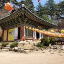 소양강식당 이미지