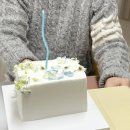 나나스테이블 | 시흥능곡역 ‘나나스테이블’ 생화레터링케이크 맛있고 예쁜 케이크후기