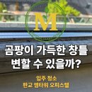 판교역로241번길 | 성남 판교 엠타워 원룸 입주청소 후기｜창틀 먼지·주방 기름때까지 꼼꼼하게 청소한 현장