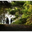 만인산자연휴양림 이미지