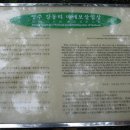 영주강동리마애보살입상 이미지