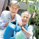 서부 할머니 이미지