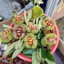 백제문화제 행사장 이미지