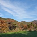 청도버섯한우식당 이미지