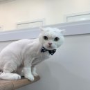 포리네 민박 이미지