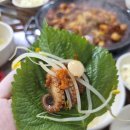 답십리 전농동 맛집 용두쭈꾸미, 스트레스 풀리는 매운맛 후기