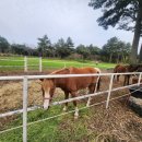 남원목장 이미지