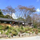 성주봉자연휴양림 야영장 이미지