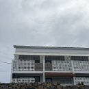 제주우 | 제주 월정리 | 제주 구좌읍 동쪽 10만원대 감성숙소 월정연가