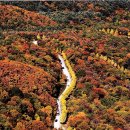 예체문화관 수달수영장 이미지