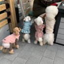 루트231 유치원 & 호텔 이미지