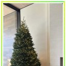 크리스마스 트리 | 따뜻한 전구 색 크리스마스트리 후기 아늑한 분위기 진짜 달라요!