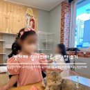 캣카페 집사의하루 분당점 | 분당 서현 고양이카페 집사의하루 분당점 후기