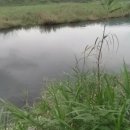 왕숙천 자전거도로14 이미지