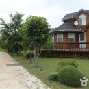 이른아침호숫가 이미지