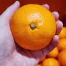 유현농장 이미지