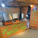 버터파이 이미지