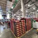 김정문알로에 수윤지사 | 작정하고 다 찍어온 코스트코 추석선물 총정리!