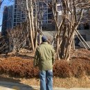 투스톤